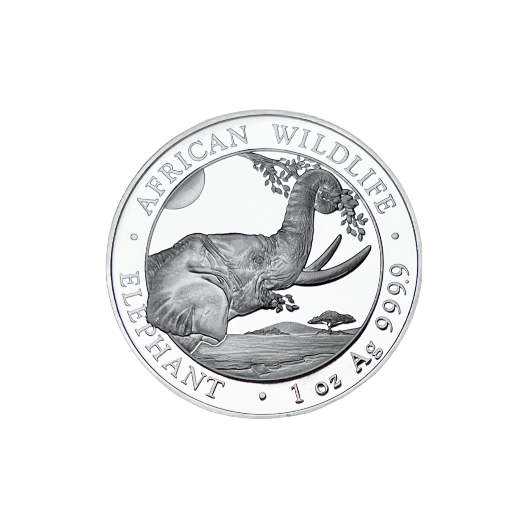 2023 Somali Republic 1 Oz Silver Elephant